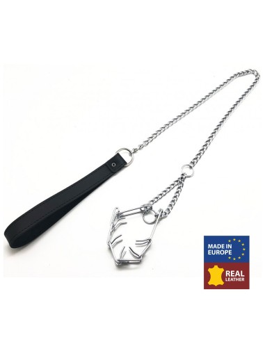 Laisse avec collier étrangleur pour pénis