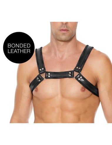 Harnais Buckle Bulldog Noir
