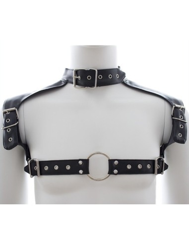 Harnais et Collier Optor Noir