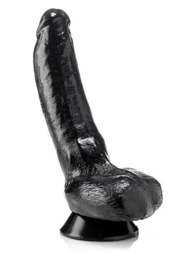HELMUT 23 x 6.5 cm
