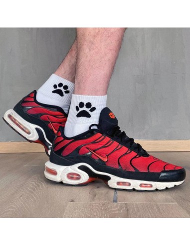 Chaussettes blanches Puppy Sk8erboy