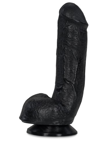 RAMONE 17 x 5 cm