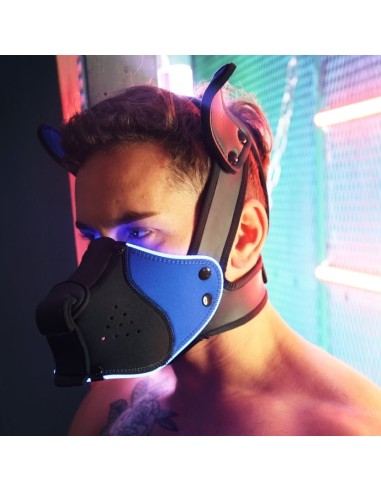 Masque Poundtown Pup Breedwell Noir-Bleu