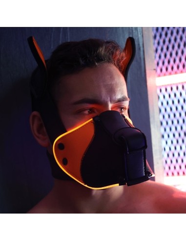Masque Poundtown Pup Breedwell Noir-Orange