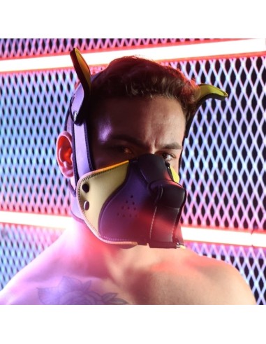 Masque Poundtown Pup Breedwell Noir-Jaune