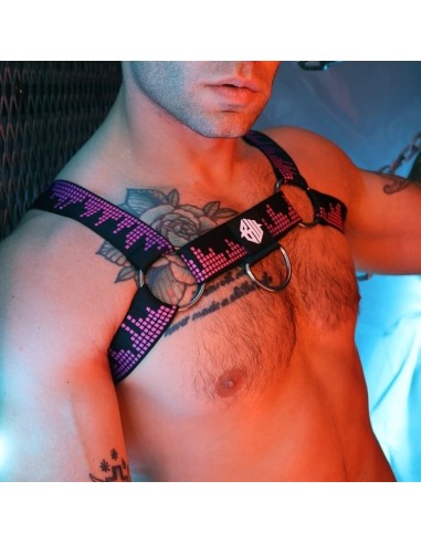 Harnais Equalizer Noir-Rose neon