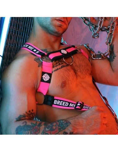 Harnais Snax Rose