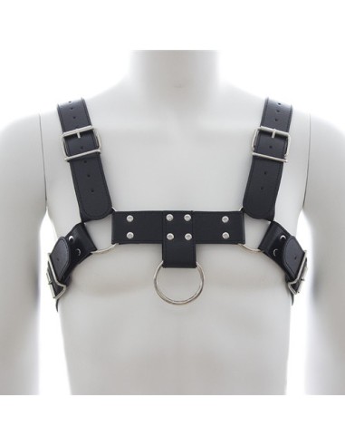 Harnais SM Upper Body Chest