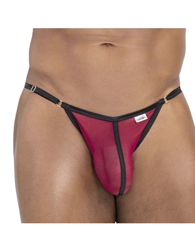 String Oshi Bordeaux