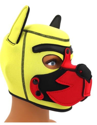 Cagoule Puppy Fox Néoprène Jaune-Rouge