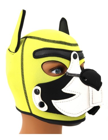 Cagoule Puppy Fox Néoprène Jaune-Blanc