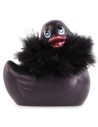 Canards Vibrants